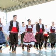 Festivalul Minorităților la Arad