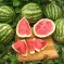 A görögdinnye ellenőrzés a termelőt és kereskedőt is védi